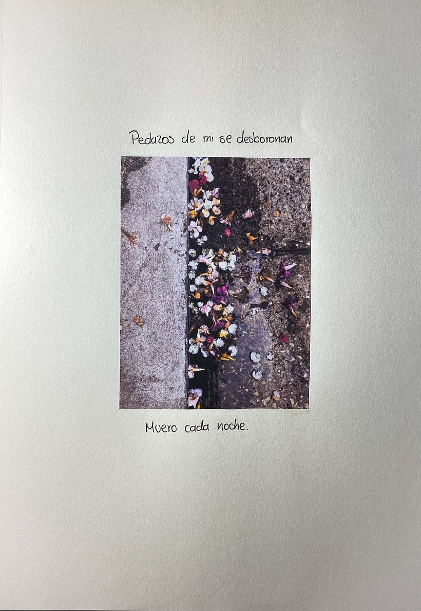 TRANSMUTACIÓN - Mi proyecto del curso: Diario de poesía visual: narra con fotografía y versos 7