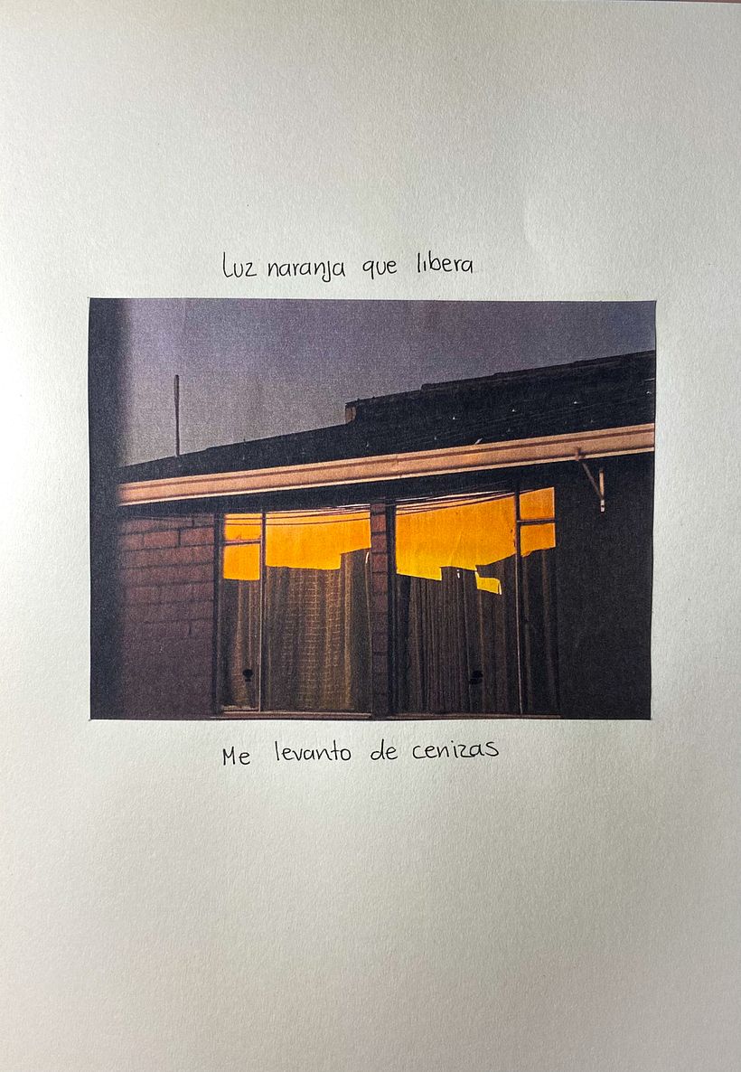 TRANSMUTACIÓN - Mi proyecto del curso: Diario de poesía visual: narra con fotografía y versos 8