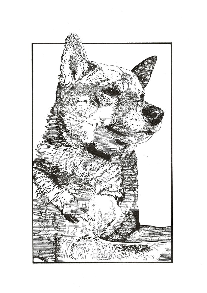 Yuki - Ilustración con tinta