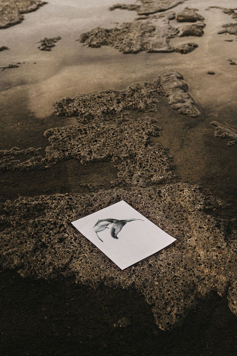 Las Gigantes: Whales in Watercolor 5