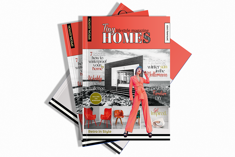 TinyHOMES Magazine Design Personal Project 2