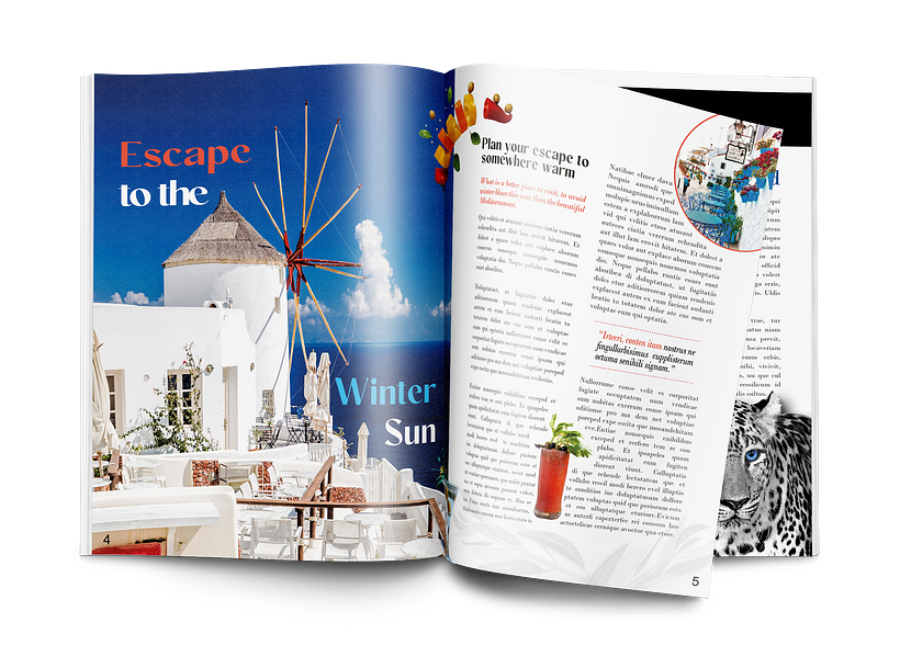 TinyHOMES Magazine Design Personal Project 3