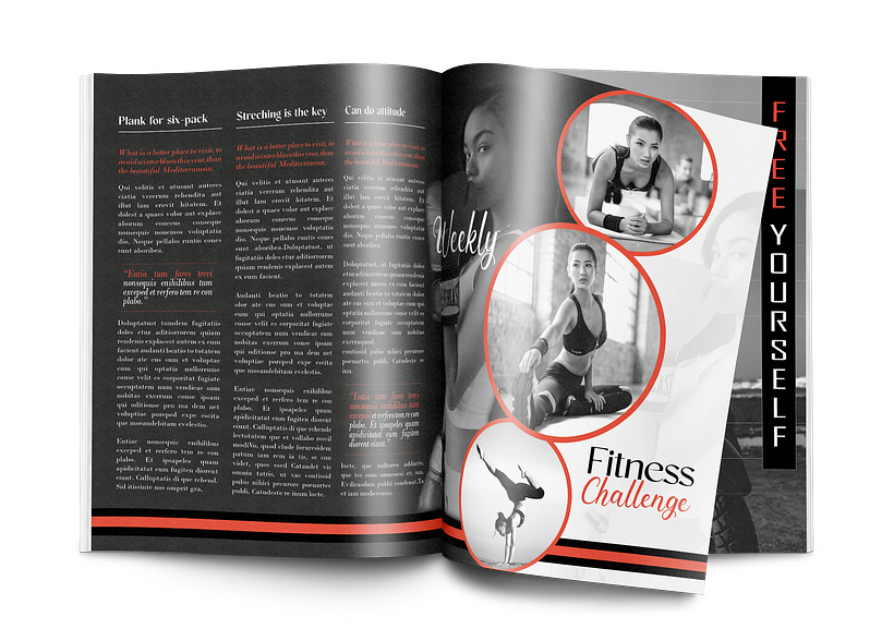 TinyHOMES Magazine Design Personal Project 5