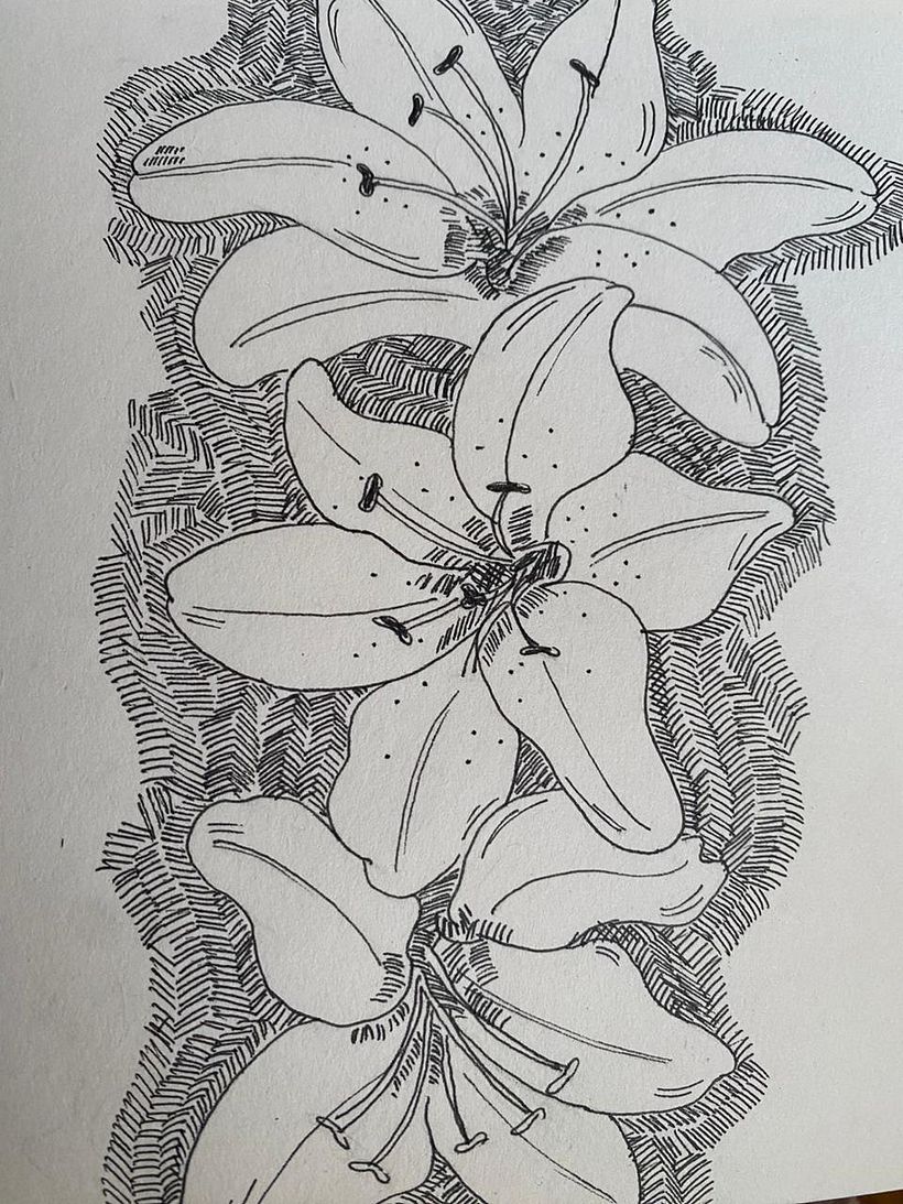 Mi proyecto del curso: Sketchbook botánico: una aproximación meditativa 2