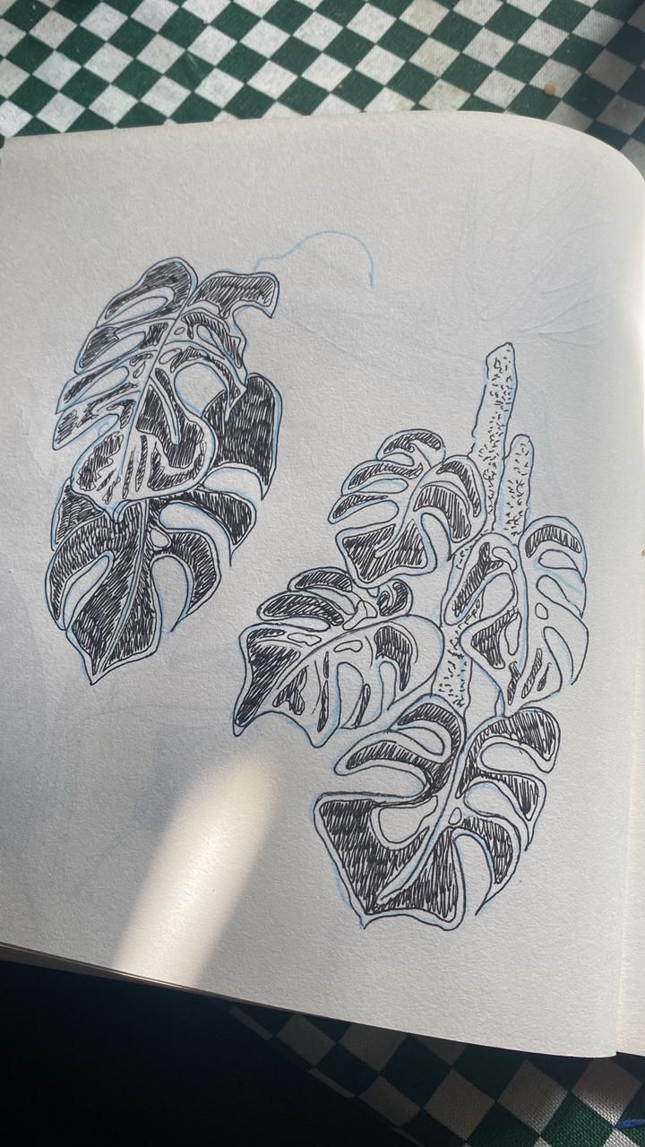 Mi proyecto del curso: Sketchbook botánico: una aproximación meditativa 4