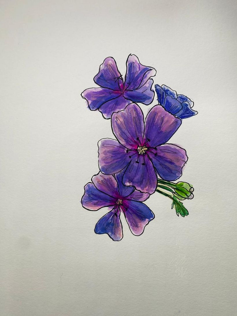 Mi proyecto del curso: Sketchbook botánico: una aproximación meditativa 5