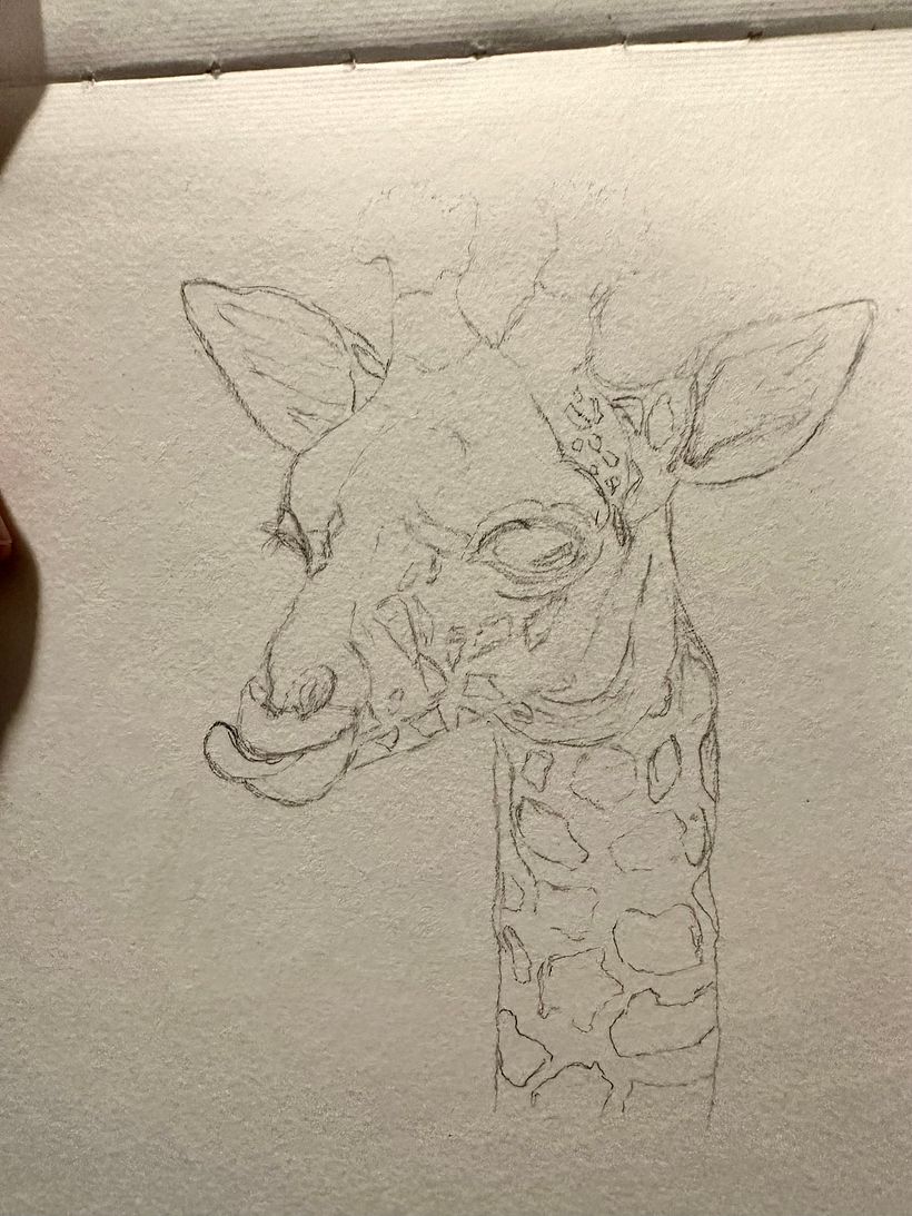 Here is my sketch! I left the pencil darker because otherwise I struggle to see it enough to paint accurately 