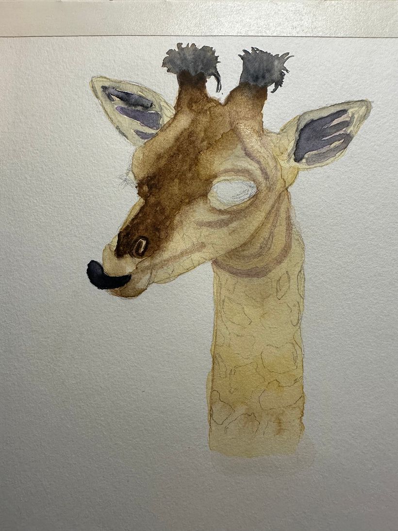 Here I thought it was ruined due to water marks but I kept on going through this ugly stage