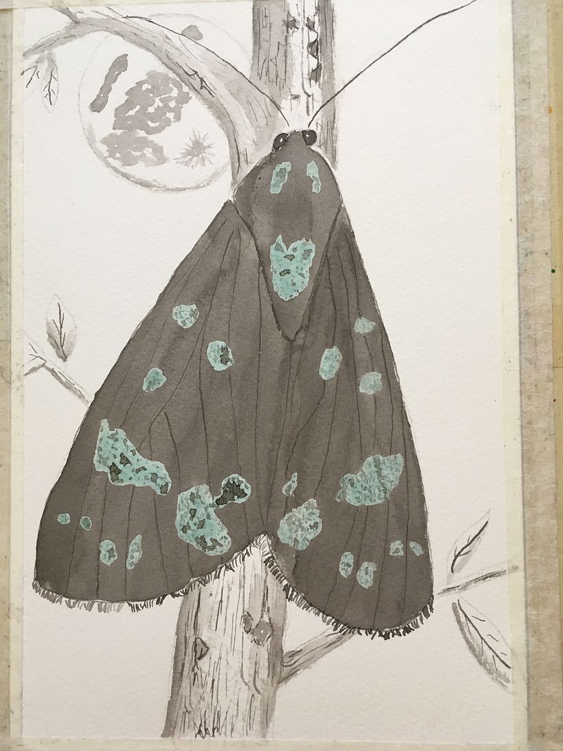 Used ink on tree, leaf texture, moon and underlayer on moth