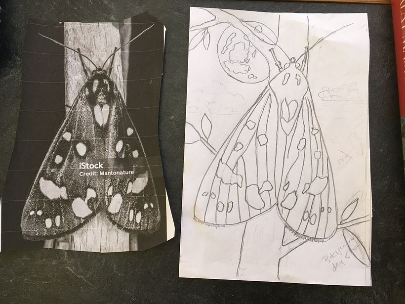 Drawing on sketch paper