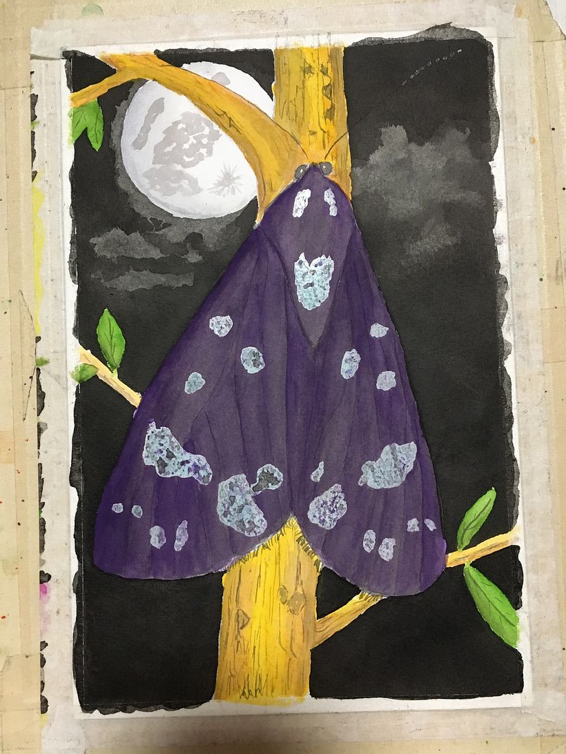 Second coat on ink background and watercolor