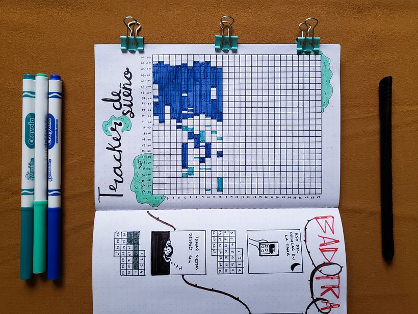 Registro de Horas de Sueño