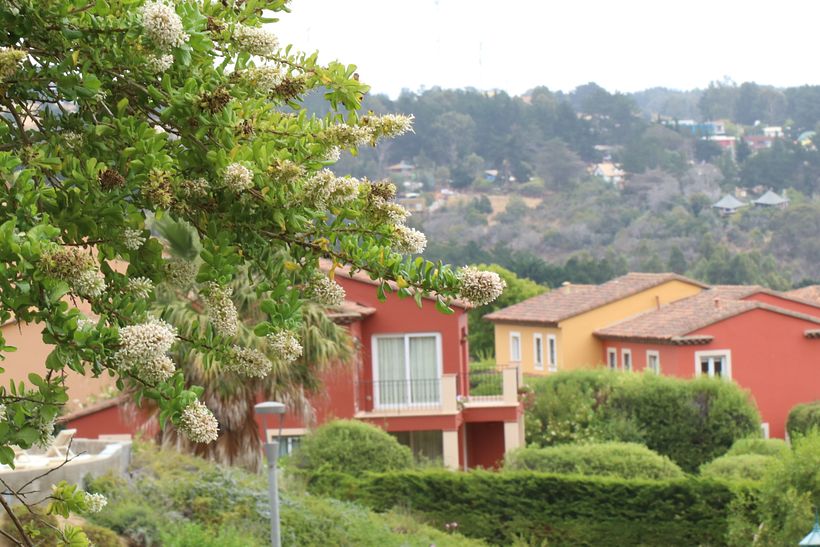 Jugando con Temperaturas I