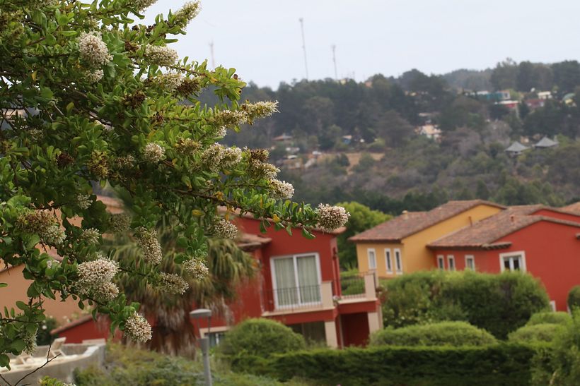 Jugando con Temperaturas II