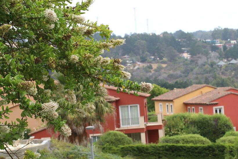 Jugando con Temperaturas IV