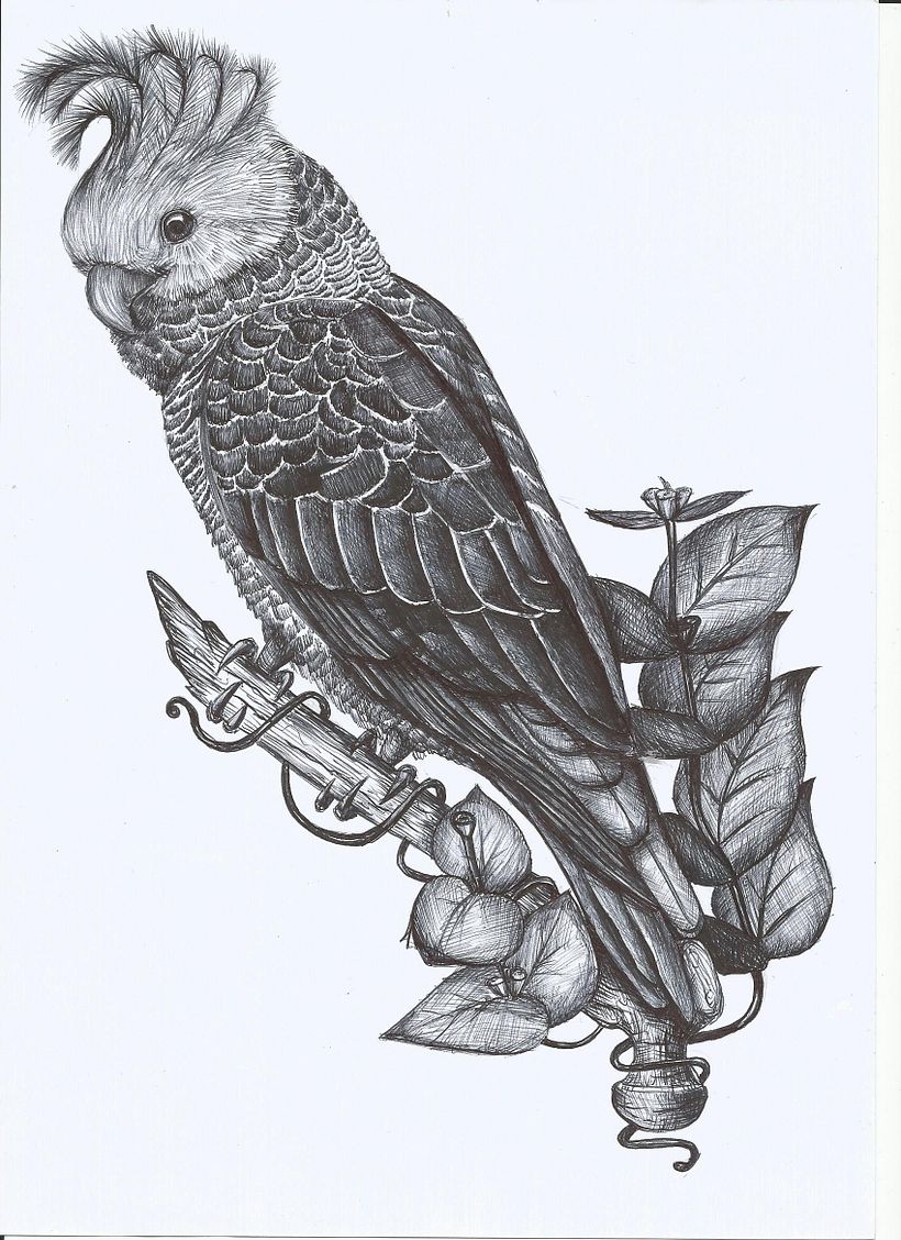 Mi proyecto del curso: Ilustración naturalista con bolígrafo 2