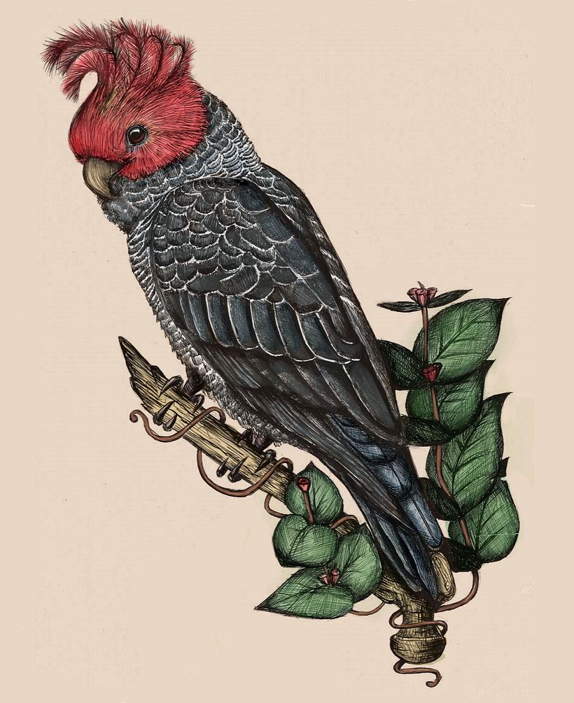 Mi proyecto del curso: Ilustración naturalista con bolígrafo 6