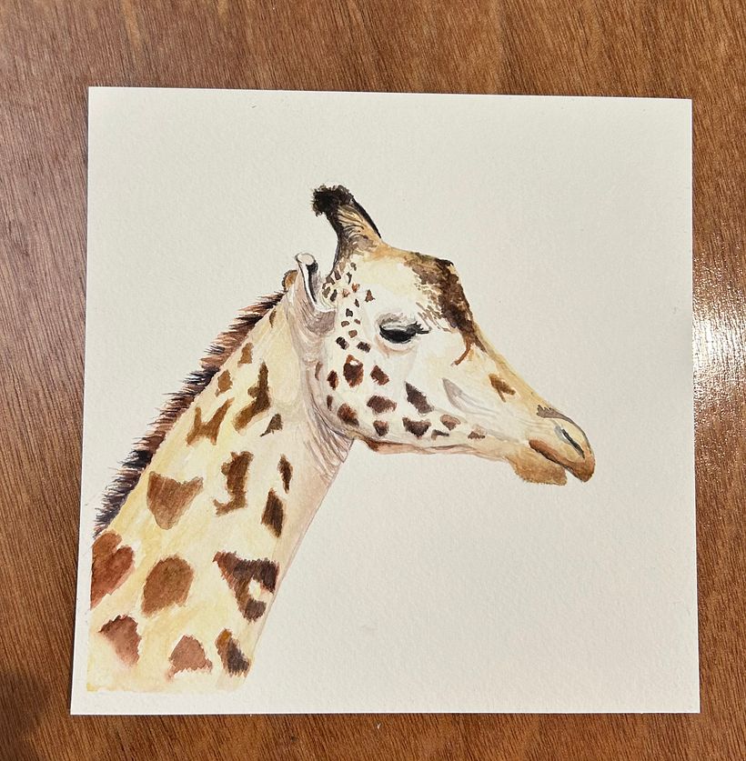 My project for course: Watercolor Illustration: Painting Realistic Wildlife 3