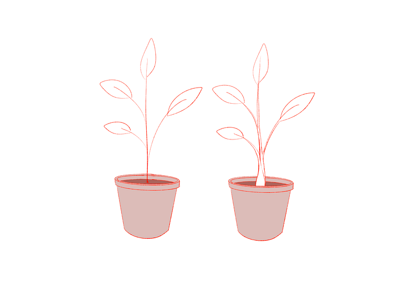 how to draw plants step by step