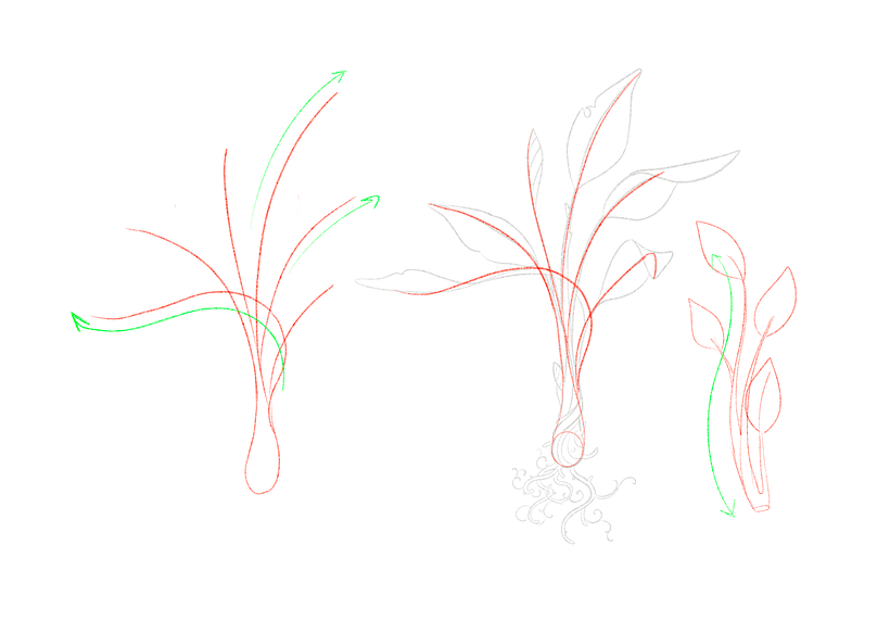 how to draw plants for beginners