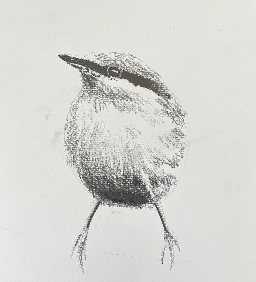 My project for course: Artistic Watercolor Techniques for Illustrating Birds 2