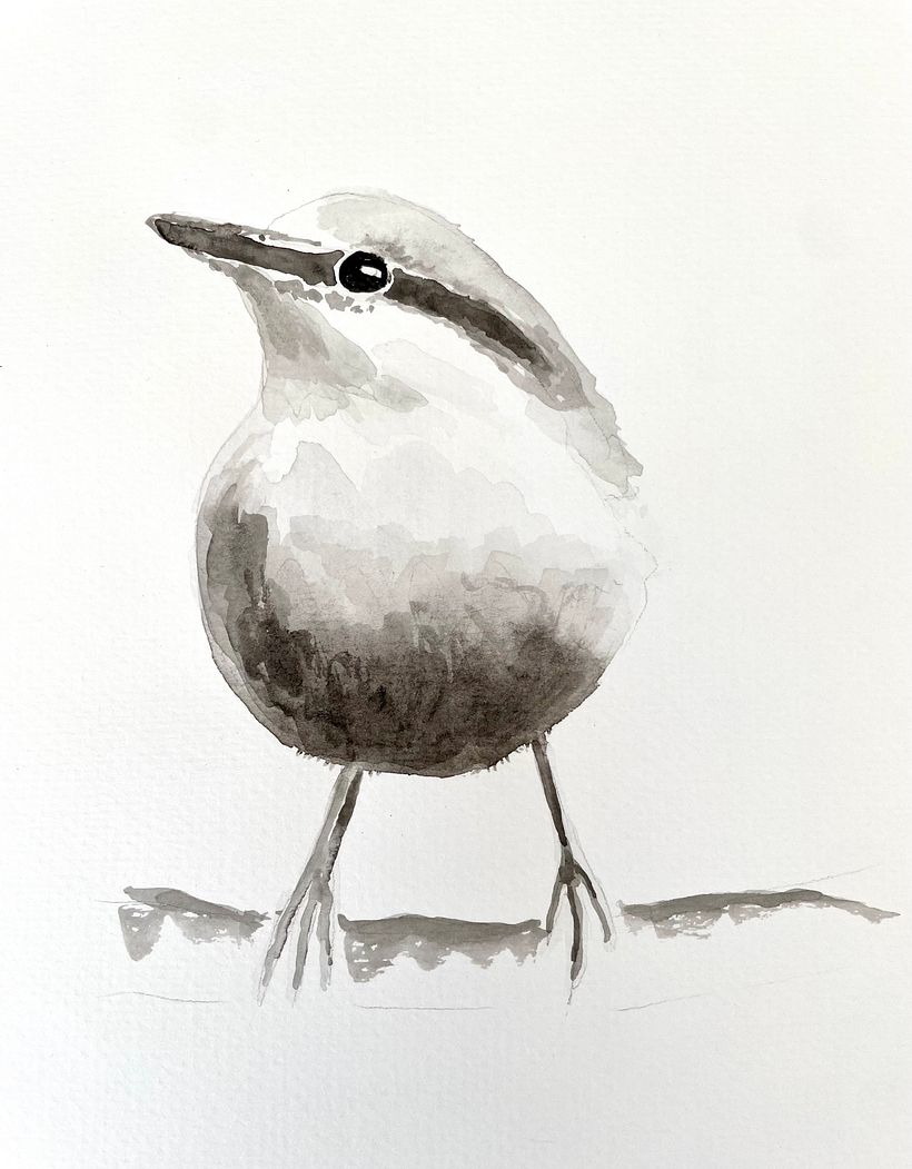 My project for course: Artistic Watercolor Techniques for Illustrating Birds 3