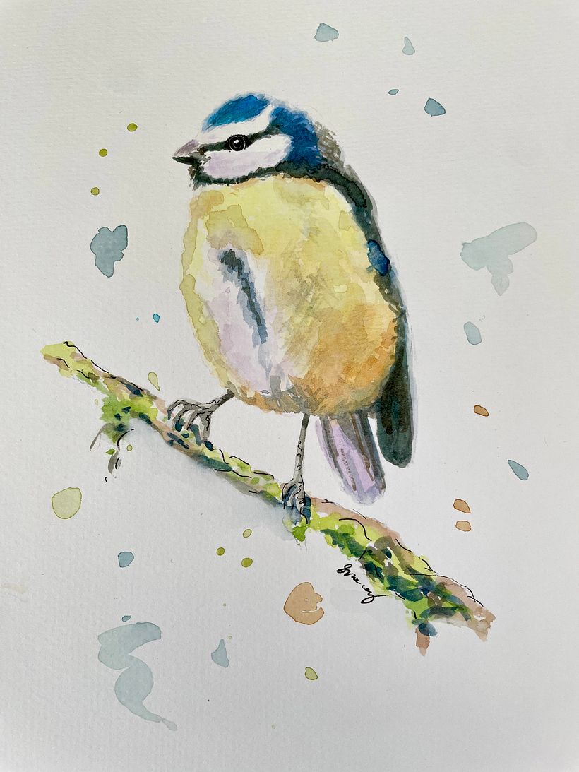 My project for course: Artistic Watercolor Techniques for Illustrating Birds 4