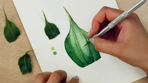 Watercolor Tutorial: textures with hairs and thorns 3