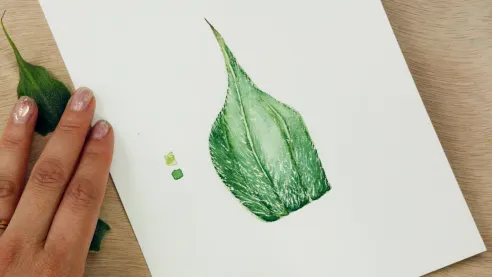 Watercolor Tutorial: textures with hairs and thorns 4