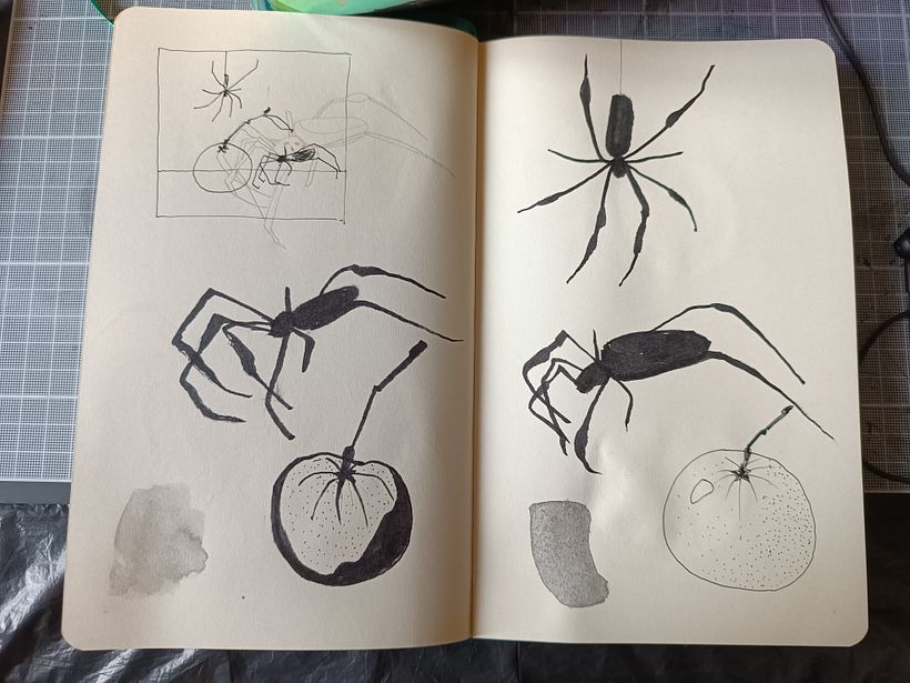 My project for course: Illustrating Nature: A Creative Exploration 4