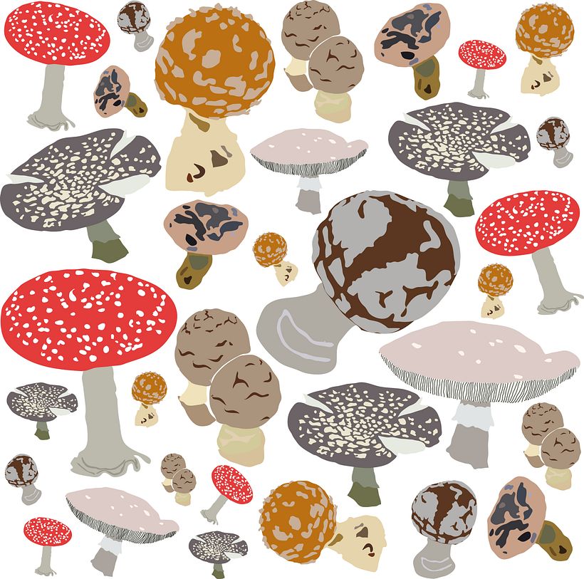 Mushrooms - based on photos I took of mushrooms in the forest