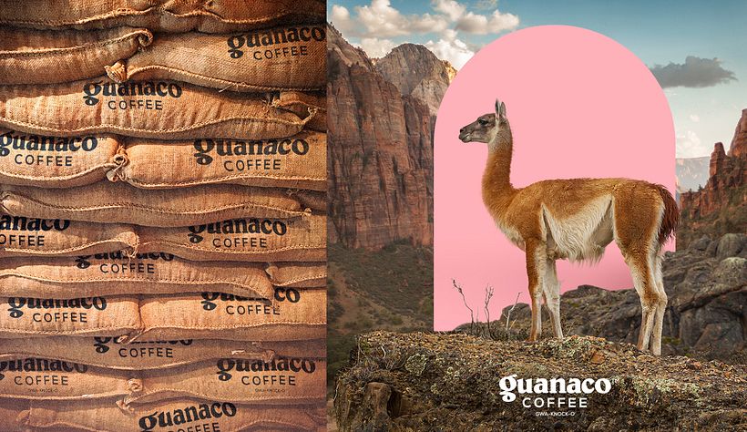 GUANACO COFFEE BRANDING 9