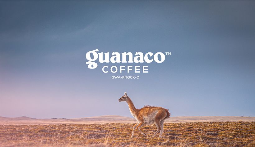 GUANACO COFFEE BRANDING 1