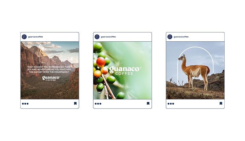 GUANACO COFFEE BRANDING 13