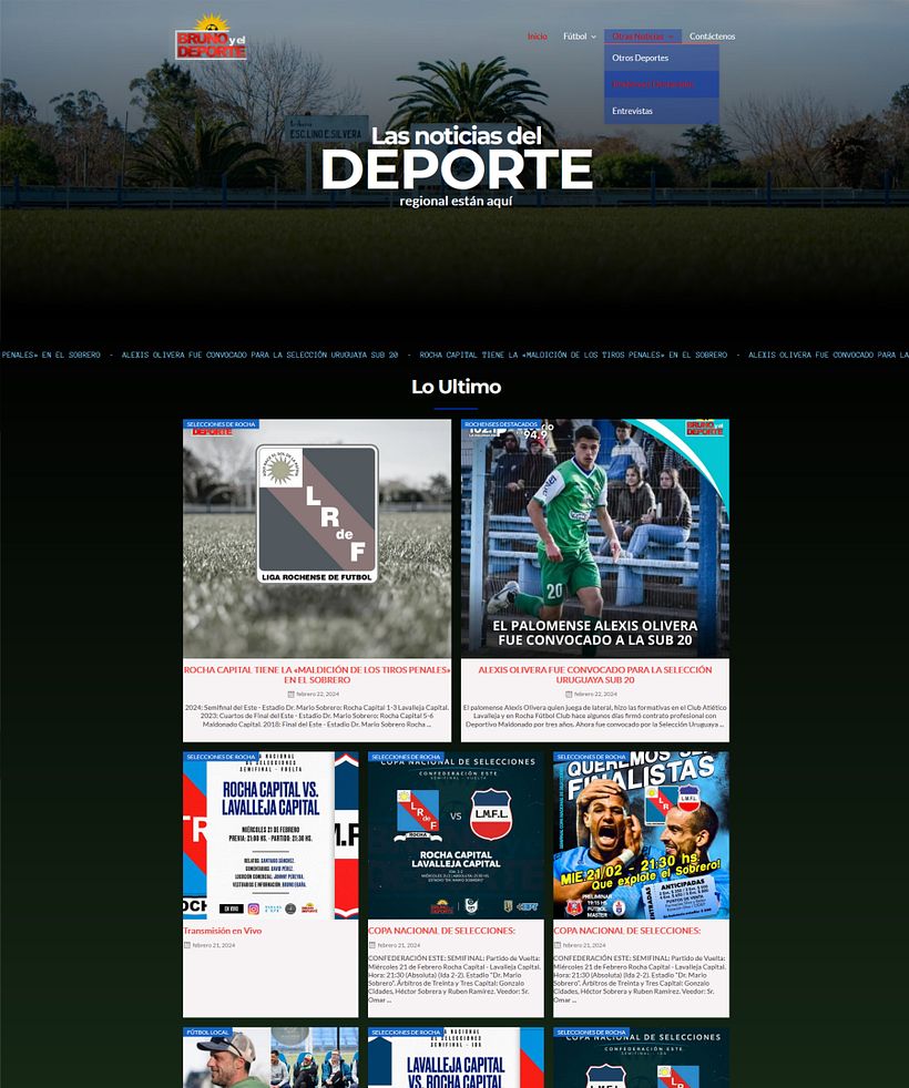Mi proyecto del curso: Creación de una web profesional con WordPress 4