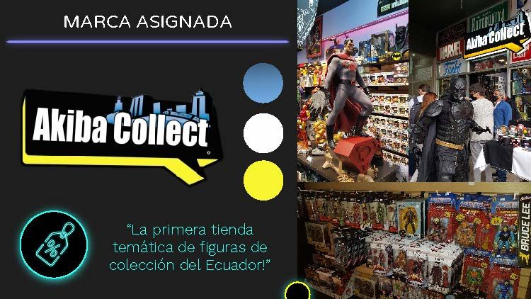 PROYECTO AKIBA COLLECT  2