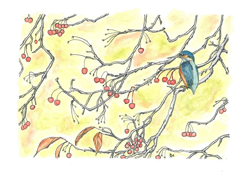 My project for course: Artistic Watercolor Techniques for Illustrating Birds 5