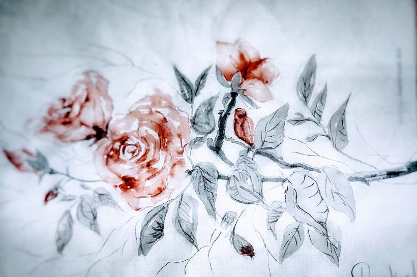 Com material bem inadequado, fiz o que pude. Vou treinar mais.