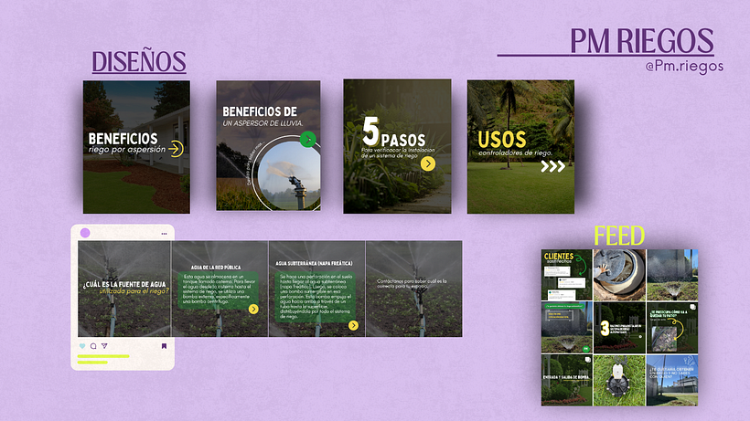 Mi proyecto del curso: Canva de 0 a 100: crea diseños de forma profesional 9