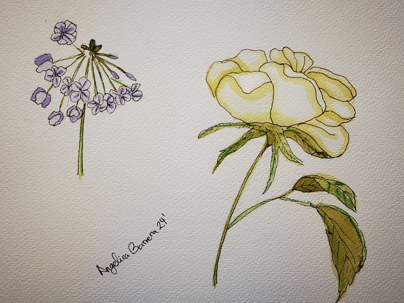 Mi proyecto del curso: Sketchbook botánico: una aproximación meditativa 2