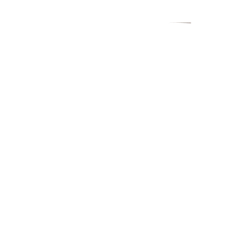 Logo Animation