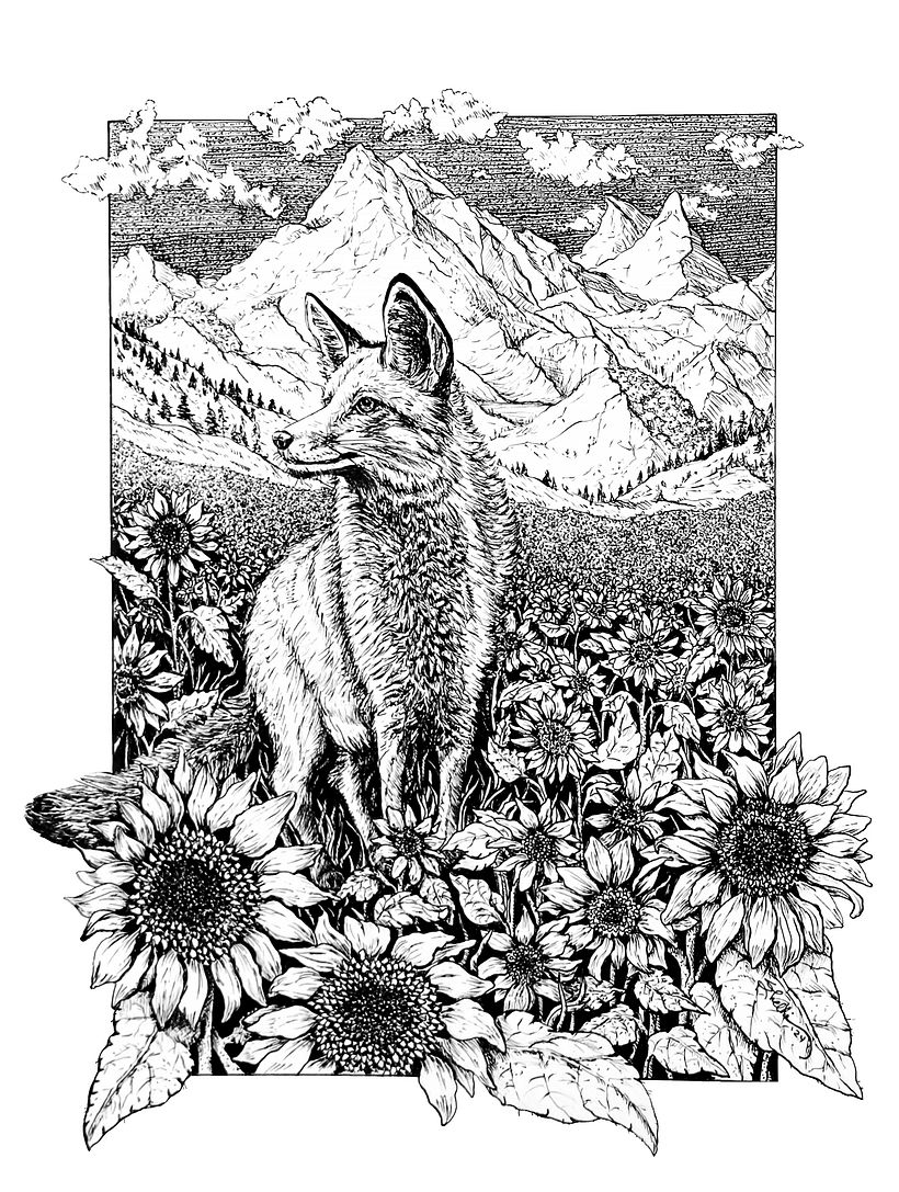 Finished Ink, photographed and cleaned in Photoshop.