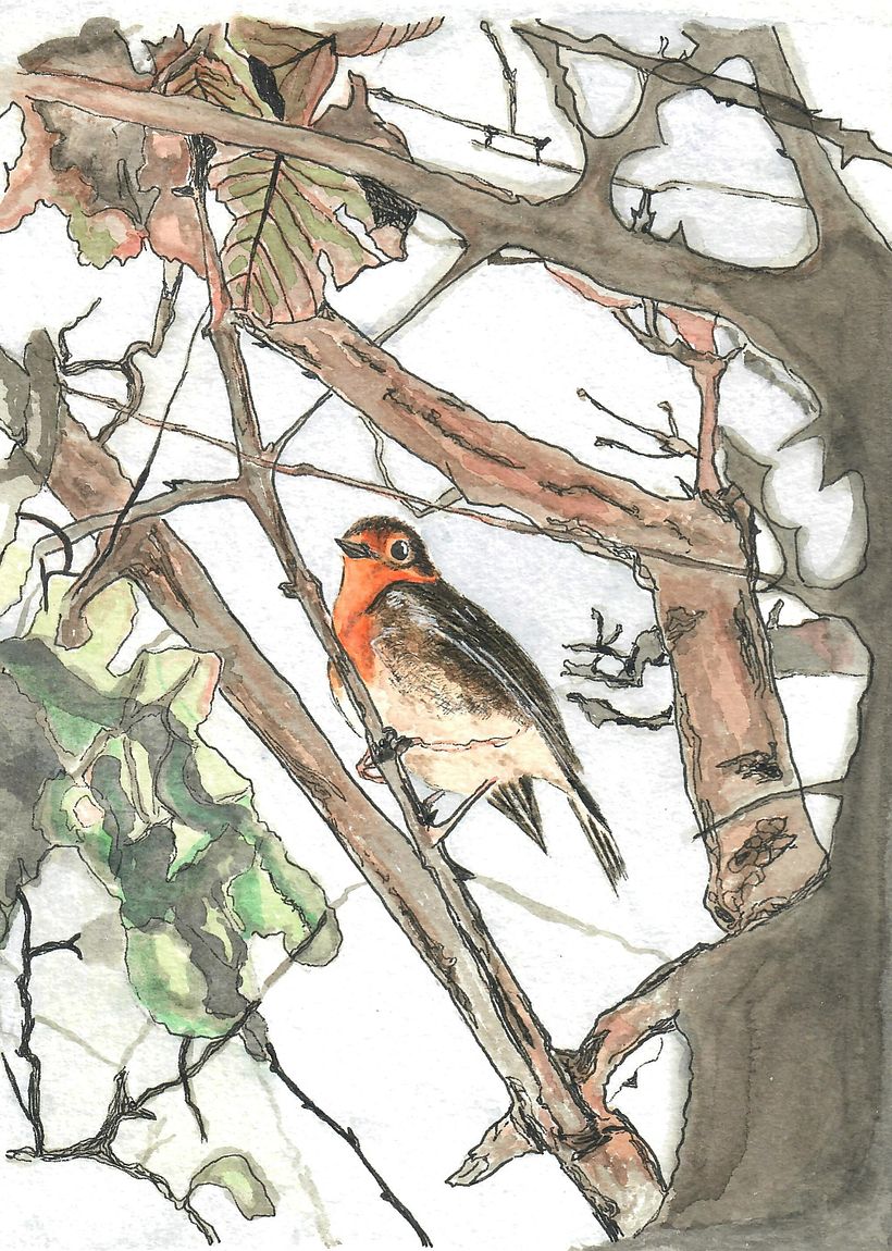 My project for course: Artistic Watercolor Techniques for Illustrating Birds 2