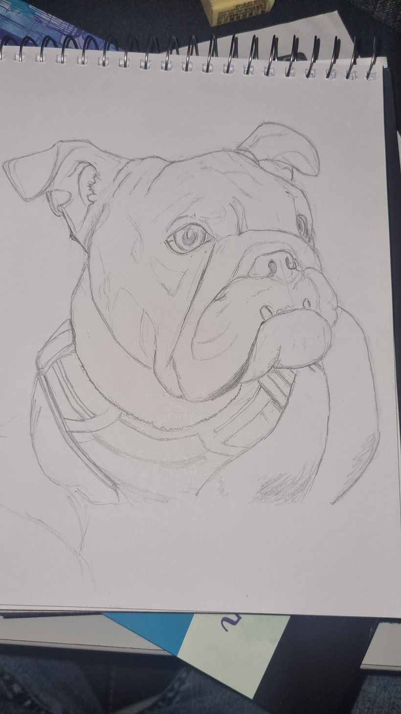 Mi proyecto del curso: Bocetos diarios para mejorar tus técnicas de dibujo 1