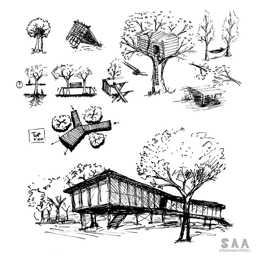 Sketching Inspired by Nature Practice 01