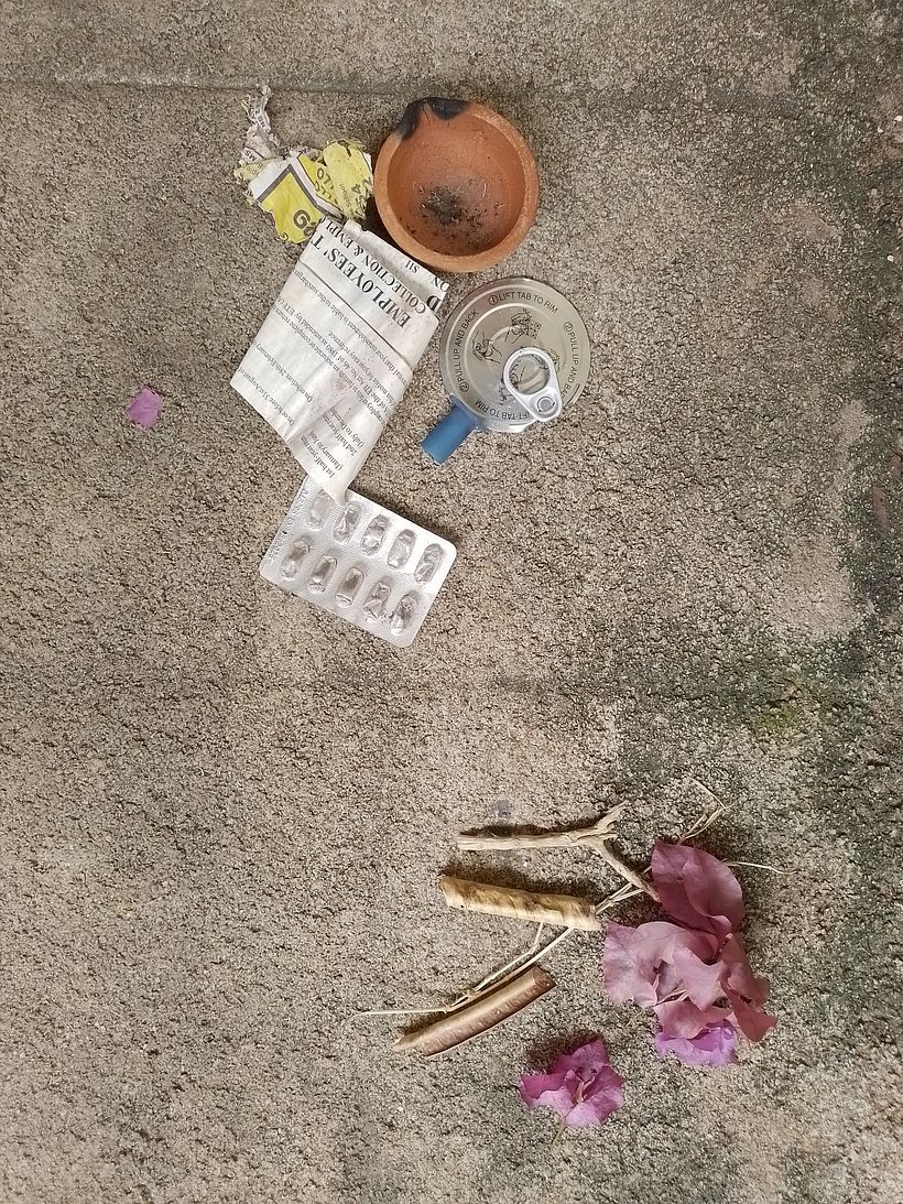 man made and natural stuff picked up whilst walking.