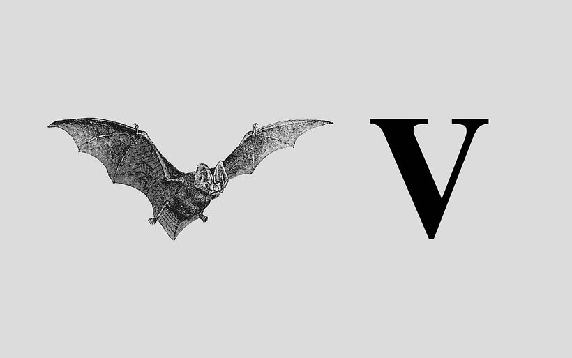 VCF Centennial Proposal 2