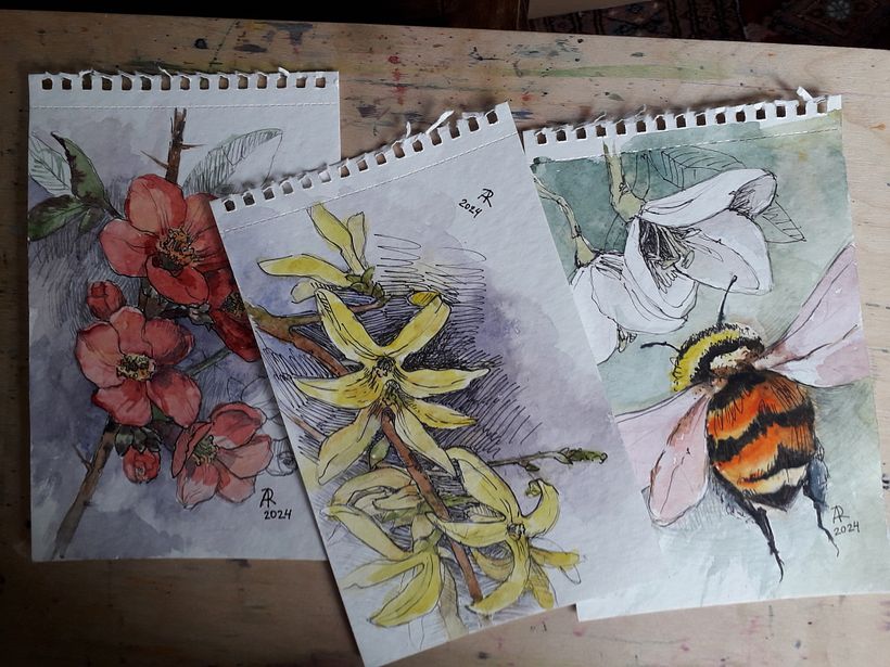 Botanical illustrations -my previous works 1