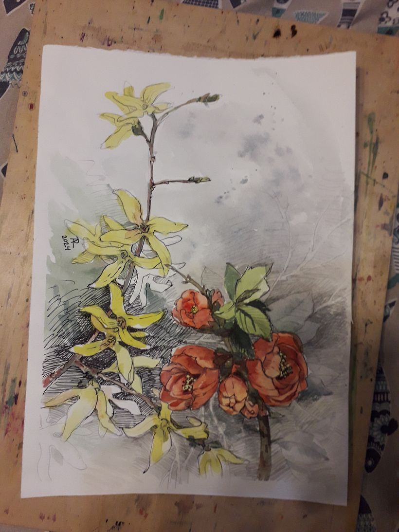 Botanical illustrations -my previous works 2