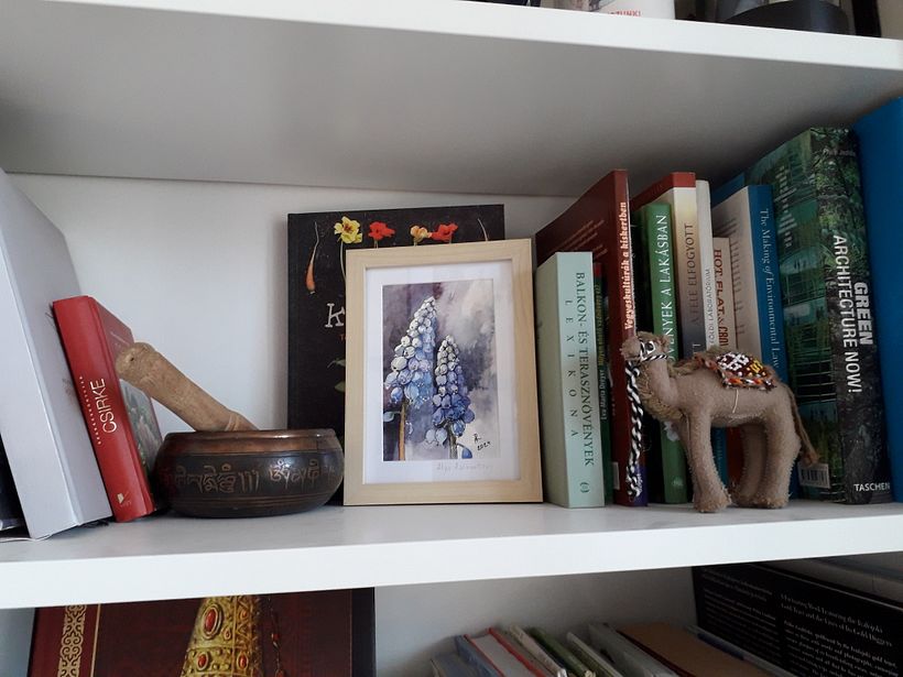 Botanical illustrations -my previous works 4